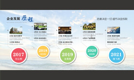 企业发展历程