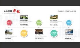 企业发展历程