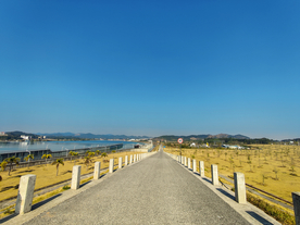 公路