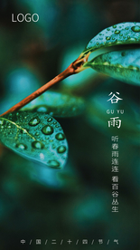 谷雨