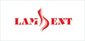 女性内衣LOGO