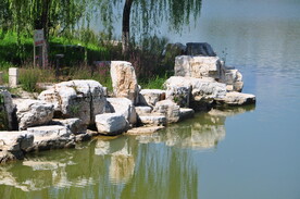 某公园岸边景石