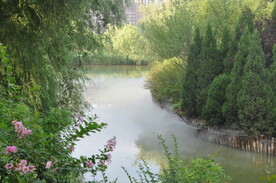 公园中的人工喷雾