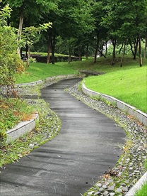 小径 小路