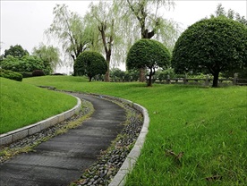 小径 小路