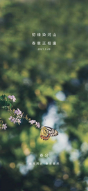 春分节气海报