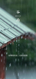 谷雨节气海报