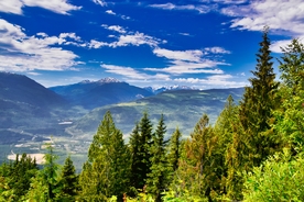 山林