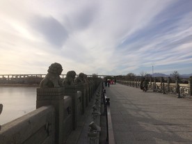 卢沟桥的狮子