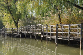 北京某度假村有点残破的木栈道