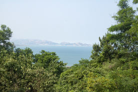 碧海绿树