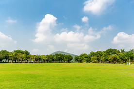 绿地