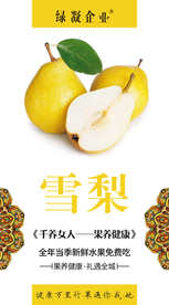 香梨海报