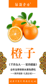 橙子海报