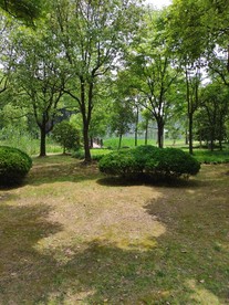 马山风景