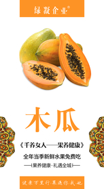 木瓜海报