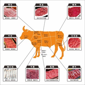牛肉分割图