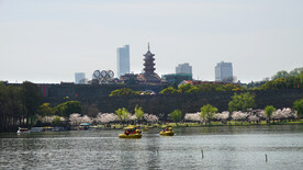 玄武湖