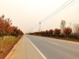 空荡荡的乡村道路