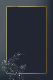 背景模板 展板背景