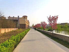 城市道路风景