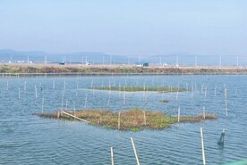 太湖风景