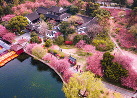 美丽的公园
