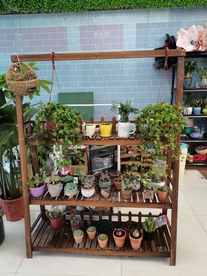 花架