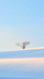 雪