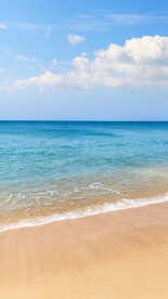 大海
