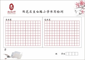书写检测纸