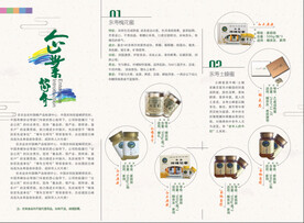 宣传折页  产品折页 创意排版