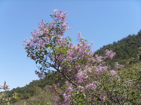 宁夏罗山 同心罗山 红寺堡罗山