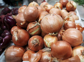 洋葱