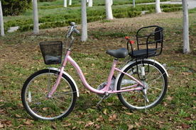 粉色小轮自行车