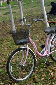 自行车特写 车头车筐