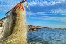 出海
