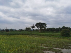 郊外