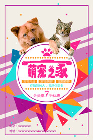 可爱 时尚 萌宠之家 海报 宠
