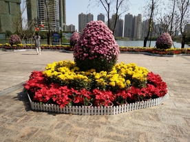 花坛