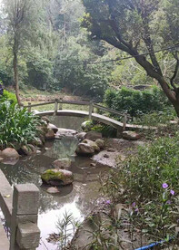 小桥流水