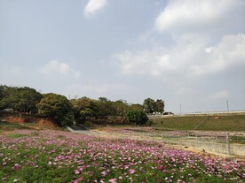 花田