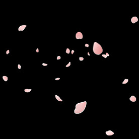 漂浮樱花花瓣免抠装饰