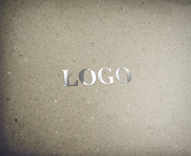 丝印印刷logo样机