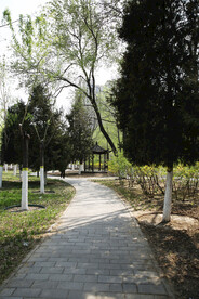 城市公园 春天