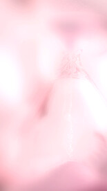 唯美浪漫粉色沙漏光影背景