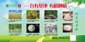 云凤稻甲好年糕