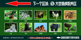 猛虎 野生动物宣传牌