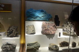 上海自然博物馆摄影图片素材