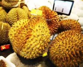 榴莲